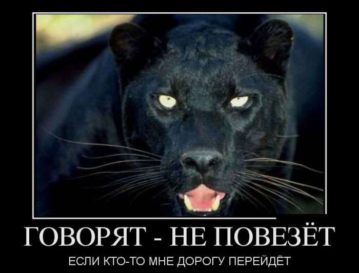 Демотиваторы