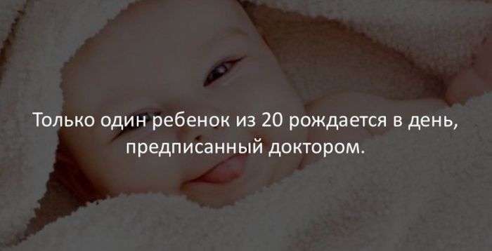 Интересные факты обо всем