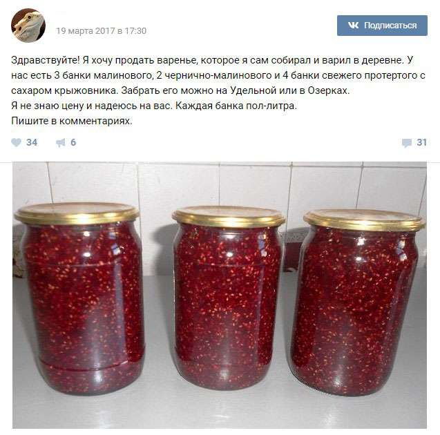 Мальчик продал варенье ради ящерицы