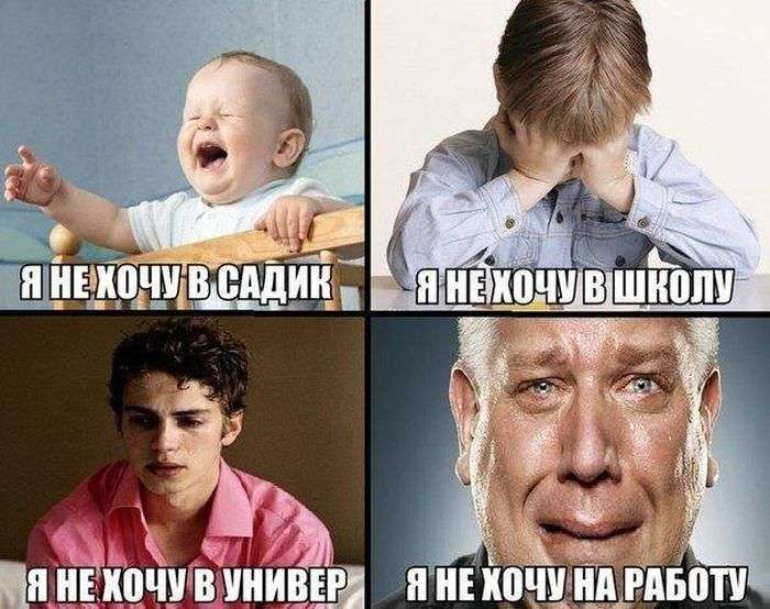Прикольные, позитивные и просто красивые фотографии