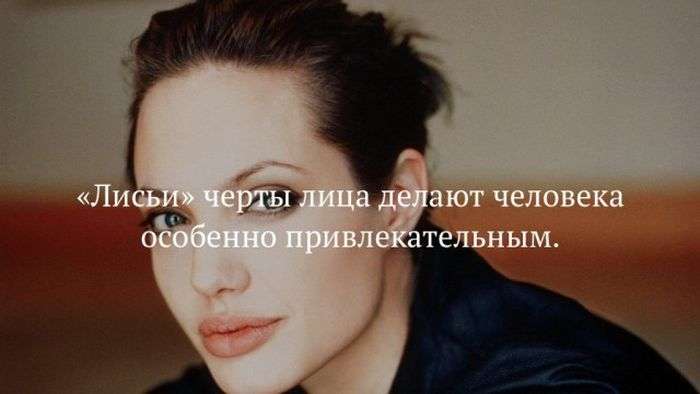 Факты для любознательных
