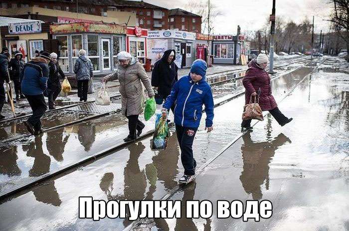 Классная фотоподборка приколов и позитивных картинок