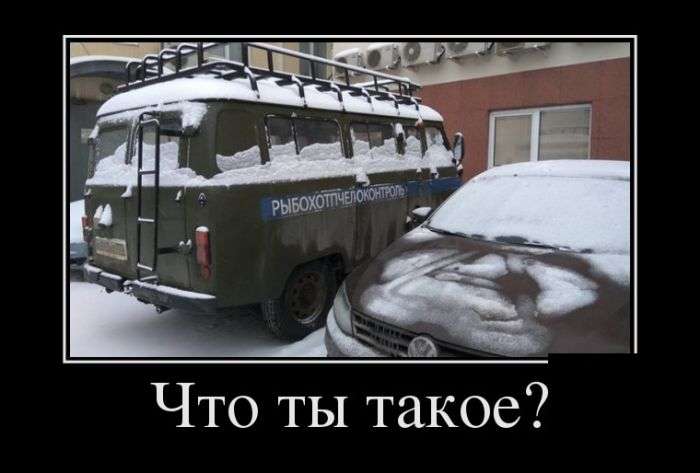 Демотиваторы