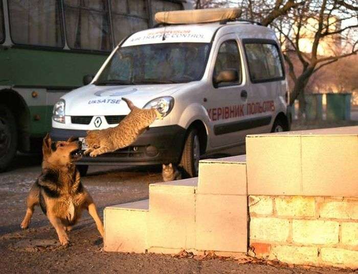 В нужный момент