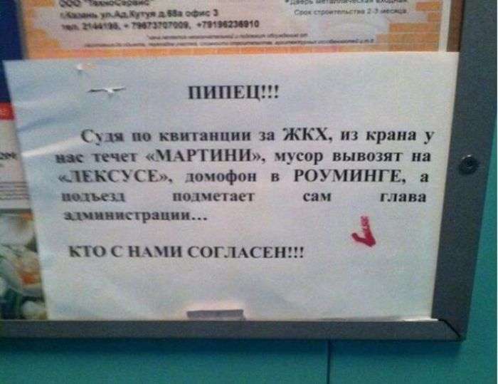 Креативные объявления, вывески и таблички