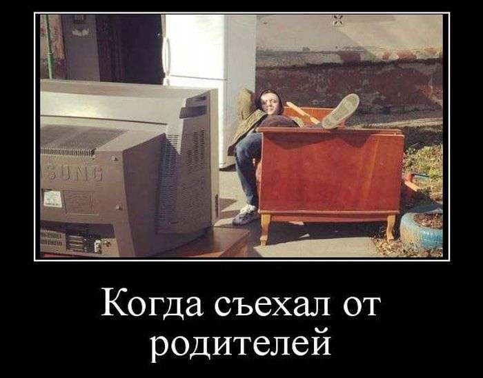 Демотиваторы