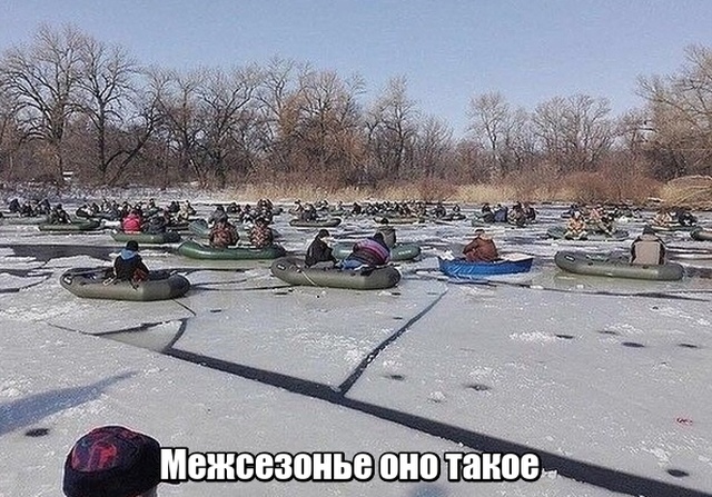Прикольные картинки 11.04.2019
