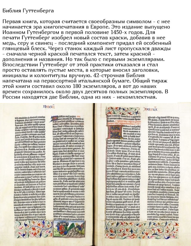 Теперь я видел все!
