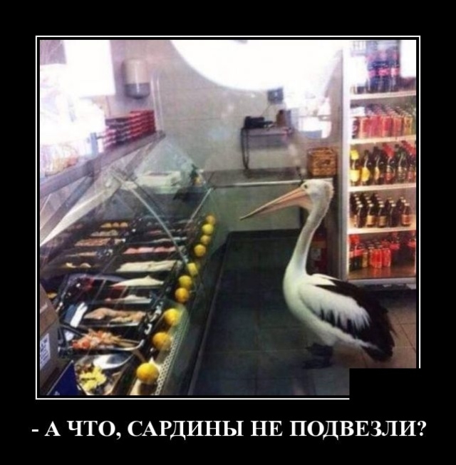 Демотиваторы