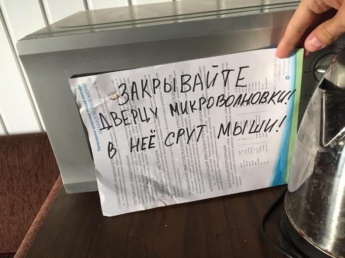 Перлы от любителей писать объявления