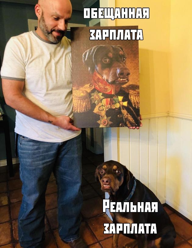 Подборка прикольных картинок