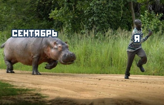 Подборка прикольных картинок