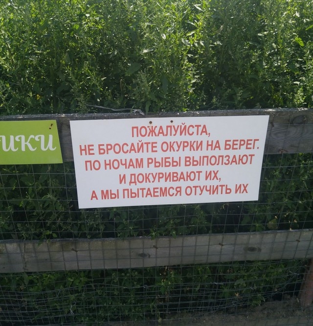Снимки с просторов нашей бескрайней