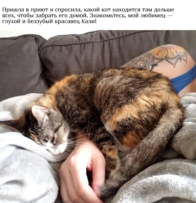 Трогательные фотографии, за которыми скрывается история