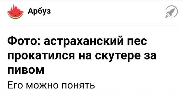 Забавные и странные заголовки, которые заставят вас улыбнуться
