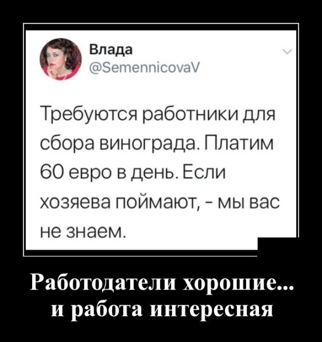 Демотиваторы