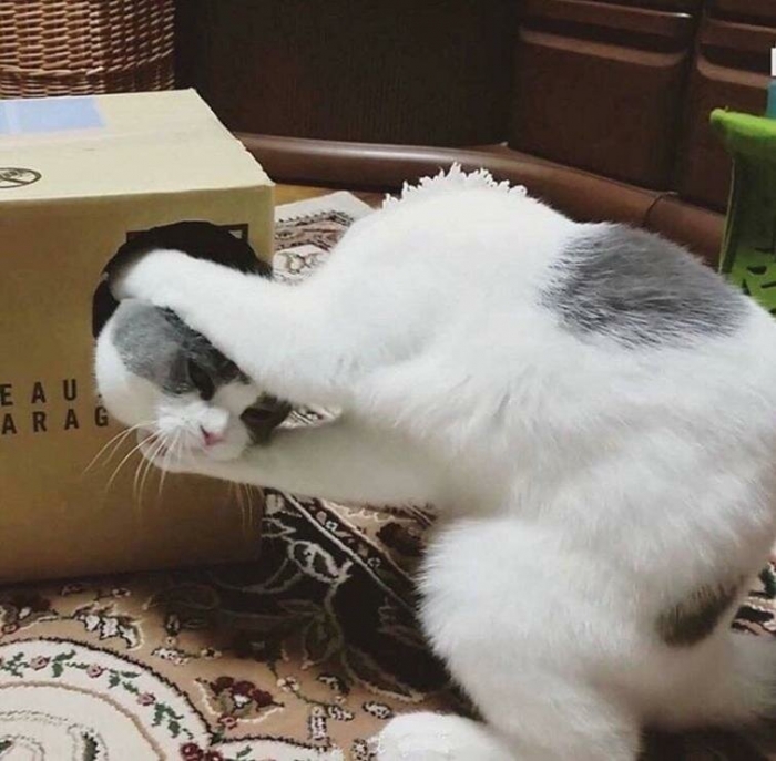 Фотографии, которые вы пересмотрите дважды