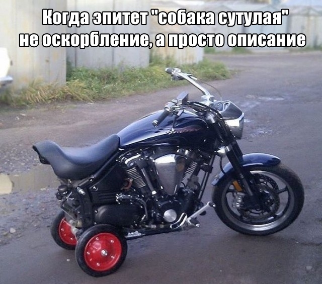 Подборка прикольных картинок