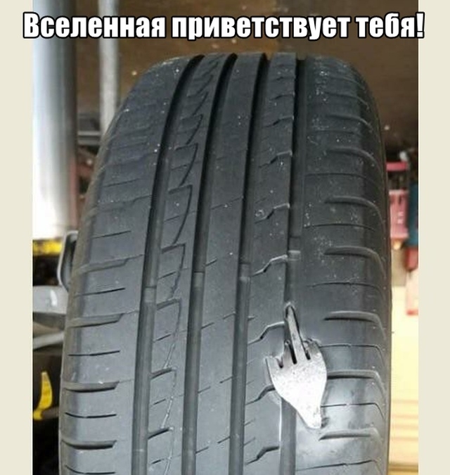 Подборка прикольных картинок
