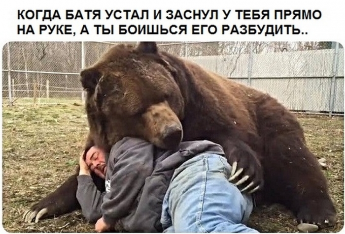 Подборка прикольных картинок