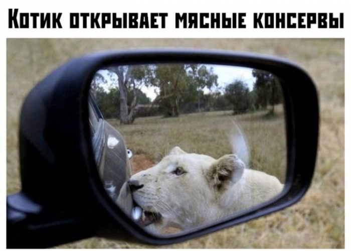 Подборка прикольных картинок