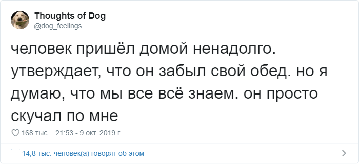 Мысли собаки странный и милый аккаунт в Твиттере