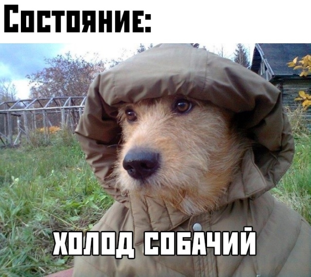 Подборка прикольных картинок