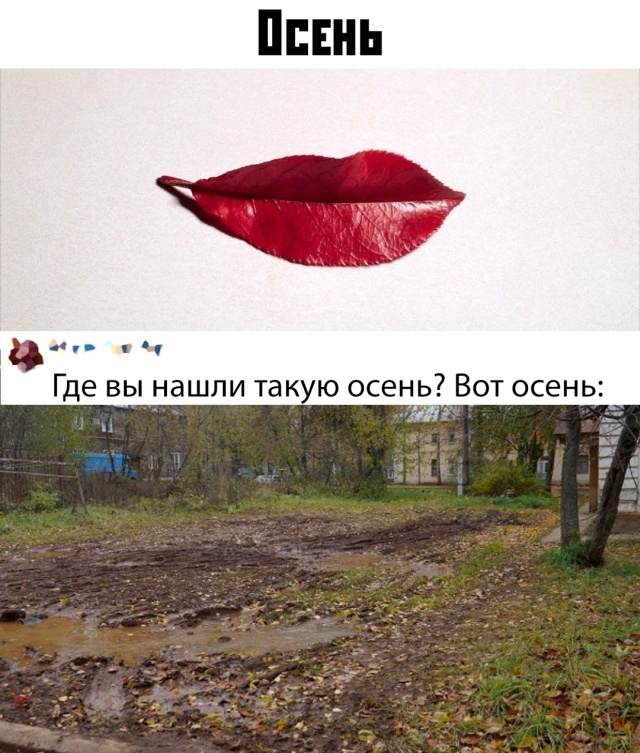 Подборка разных прикольных фото