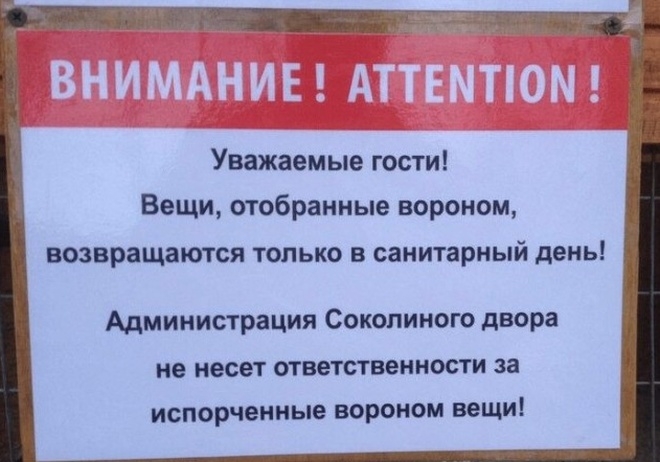 Прикольные надписи и объявления