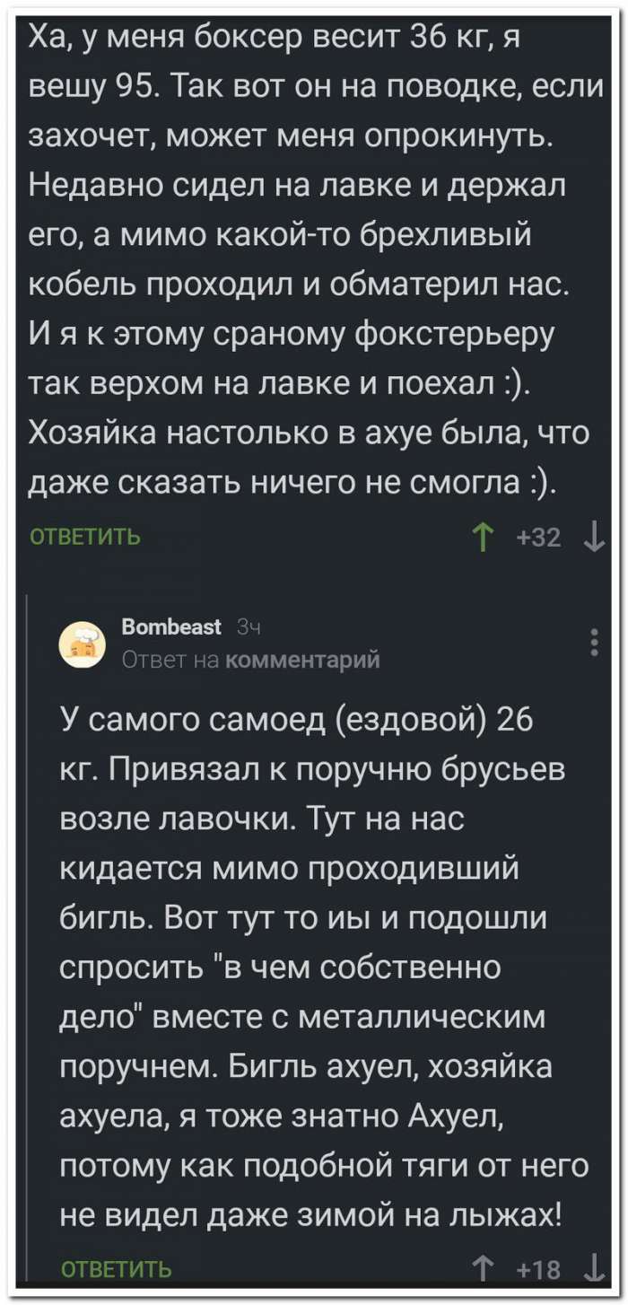 Очередные забавные комментарии из социальных сетей