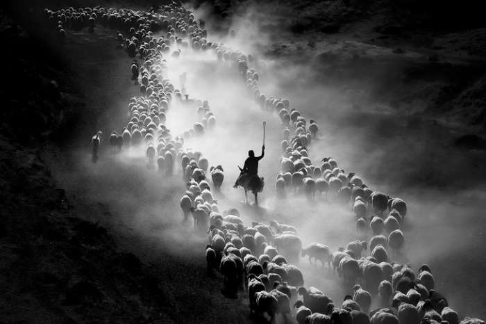 Sony World Photography Awards 2020