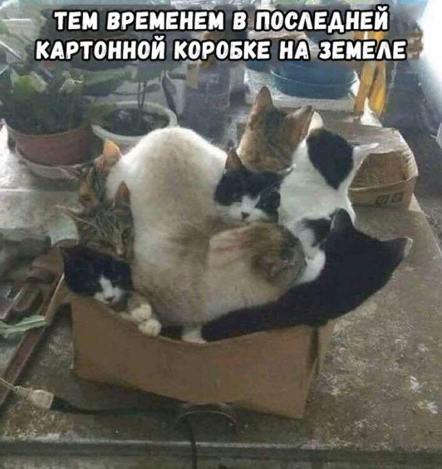 Фотоподборка четверга (60 фото)