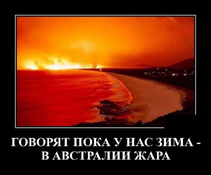 Демотиваторы 13.11.2019