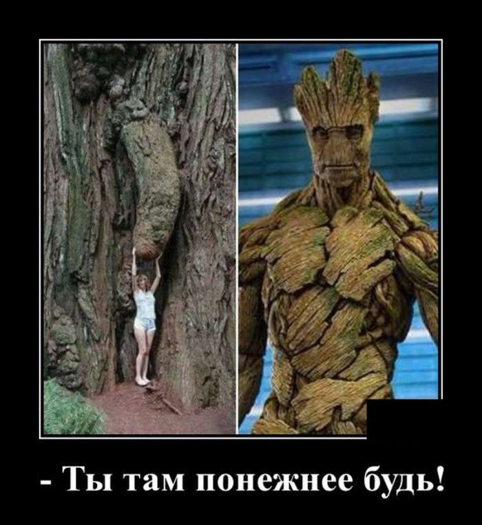 Демотиваторы на сегодня 01.11.2019