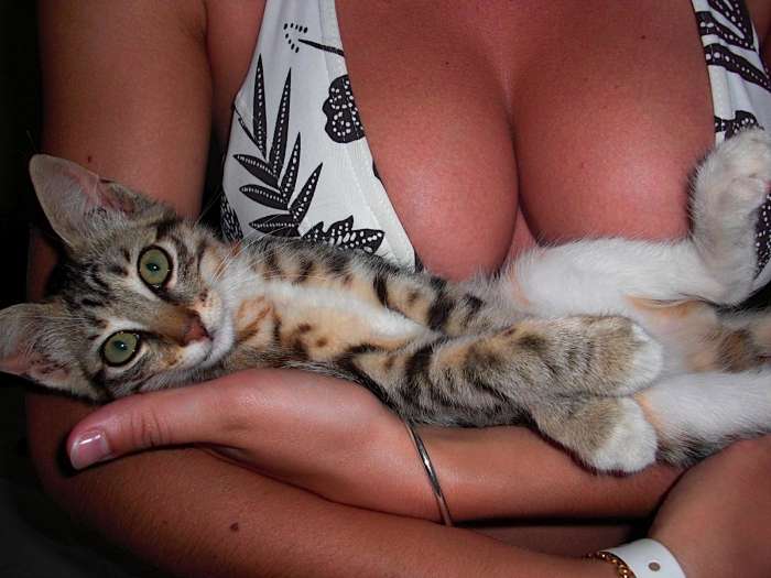 Девушки с кошками (55 фото)