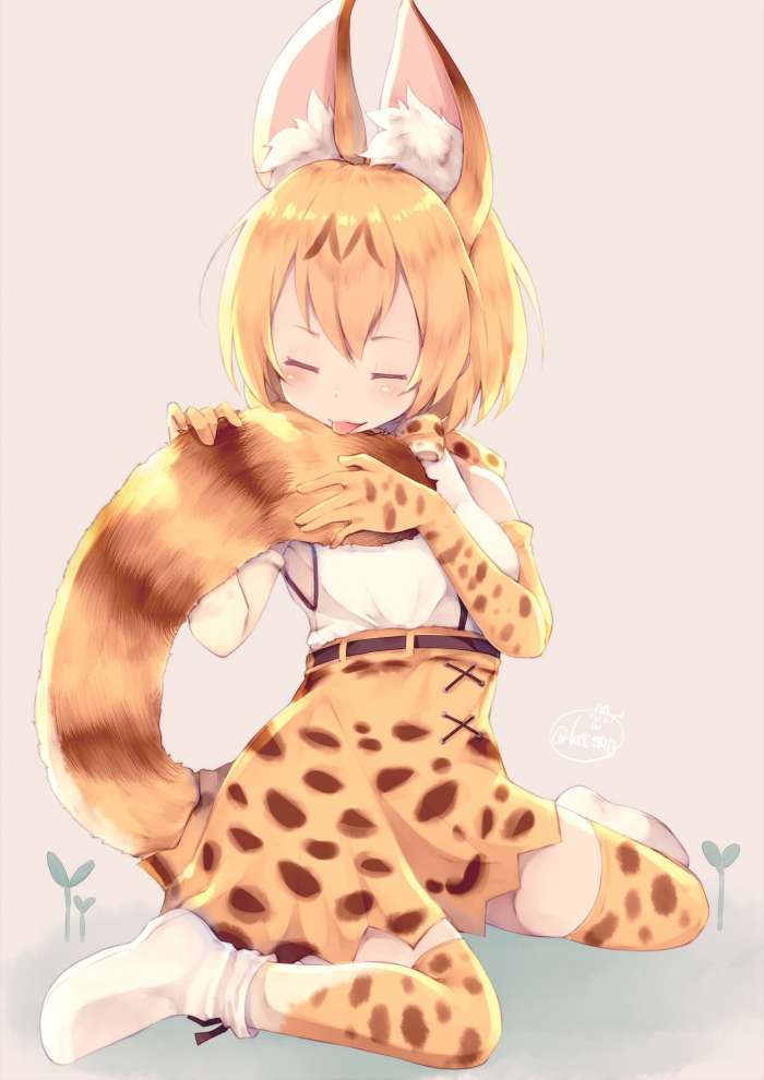 Kemono friends (7 фото)
