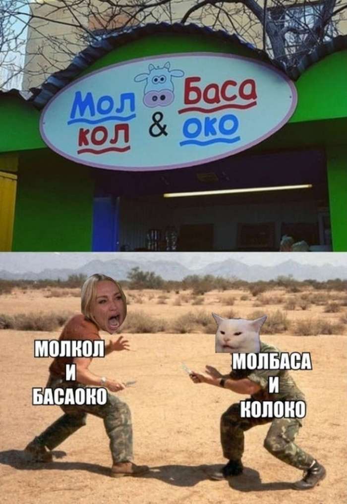 Прикольные картинки 15.11.2019