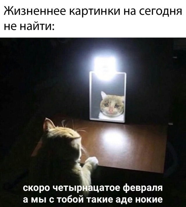 Фотоподборка приколов среды (57 фото)