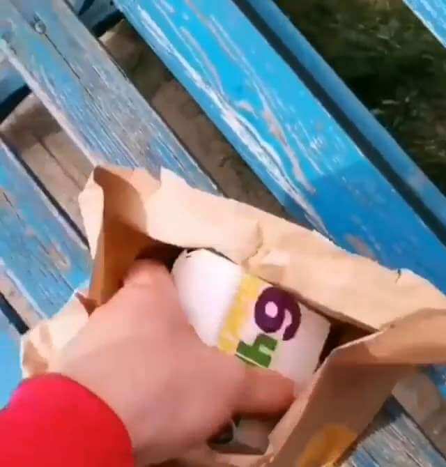 Пёс впервые пробует фастфуд