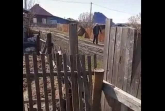 Очередное доказательство от Фроси