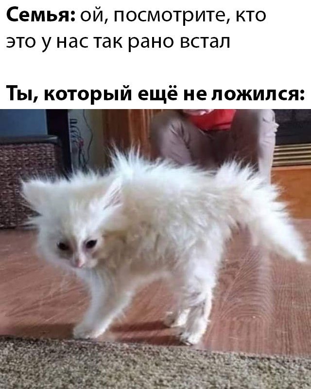 Фотоподборка понедельника (28 фото)