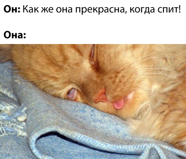 Фотоподборка приколов среды (64 фото)