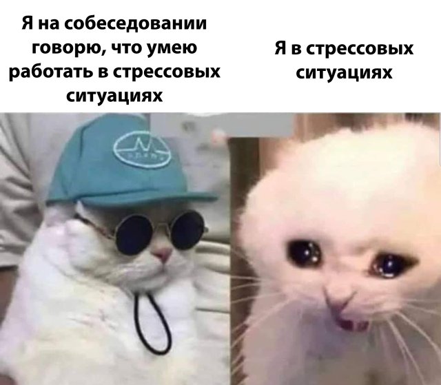 Фотоподборка среды (66 фото)