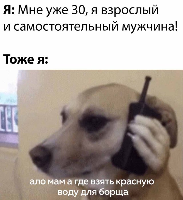 Фотоподборка субботы (64 фото)