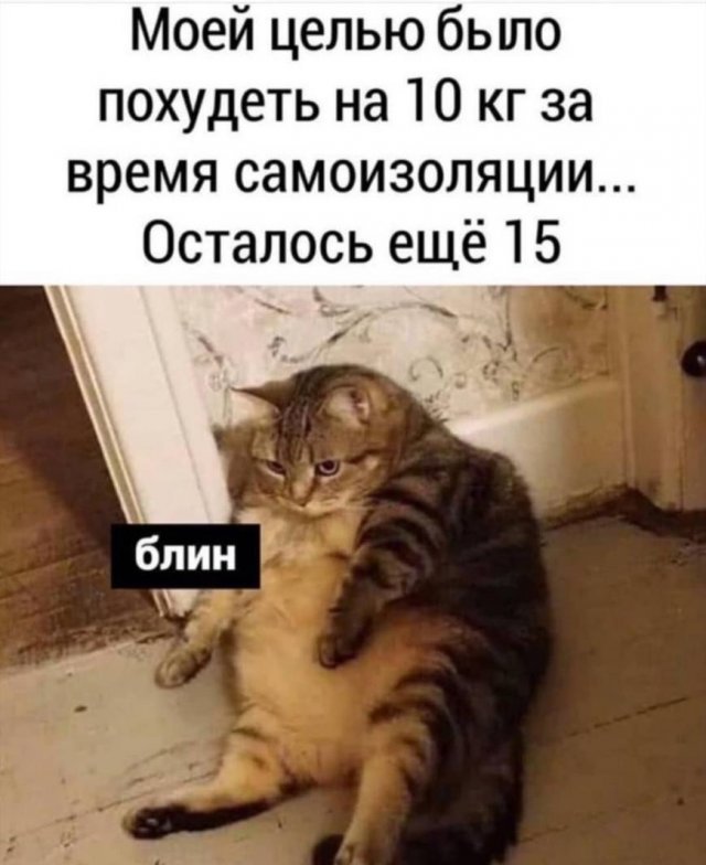Юмор про текущую ситуацию (16 фото)