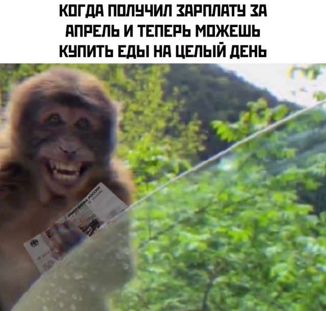 Юмор про текущую ситуацию (20 фото)
