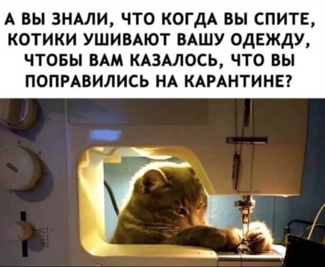 Юмор про текущую ситуацию во время пандемии (24 фото)