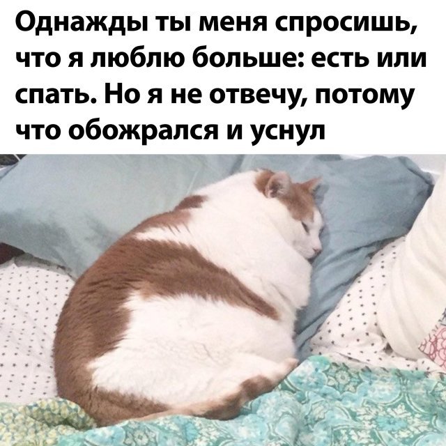 Подборка прикольных фото вторника (33 фото)