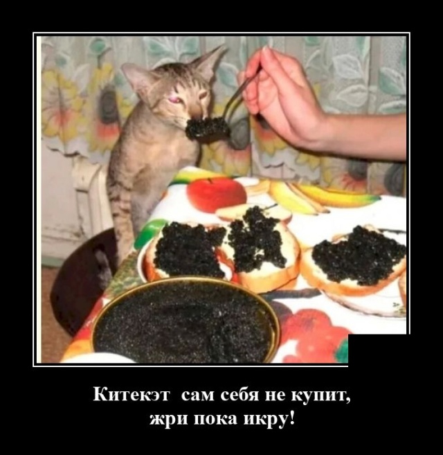 Позитивные демотиваторы
