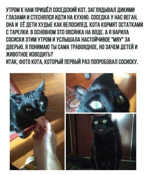 Разные приколы про яжематерей и семейные отношения (15 фото)